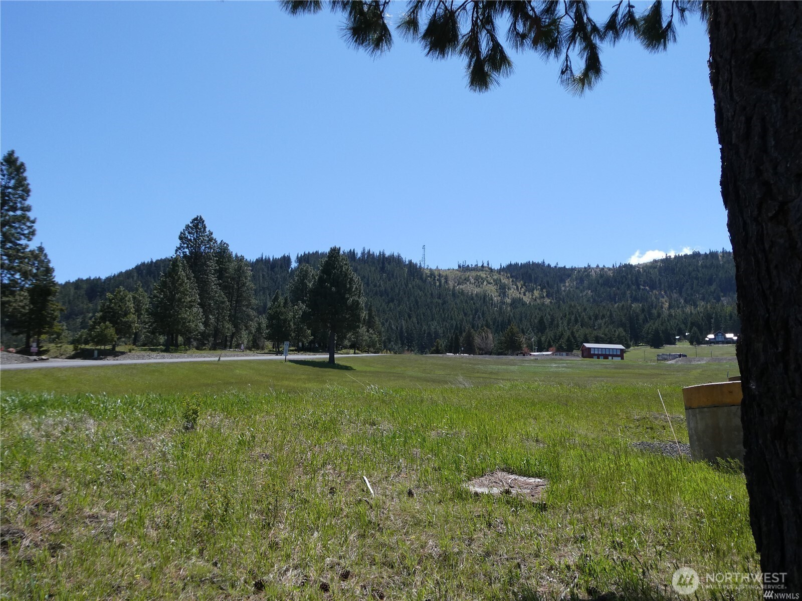 831 Horse Heaven Road Cle Elum, WA 98922 - Photo 31 of 32 a big yard with lots of green space