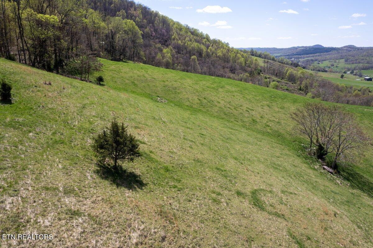 Tbd Tbd Little Sycamore Road Tazewell, TN 37879 - Photo 13 of 33 DJI_0729