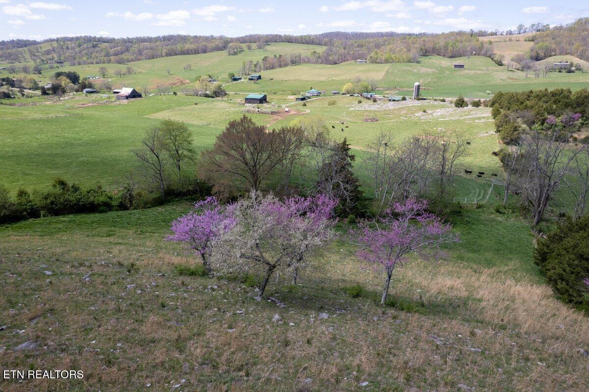 Tbd Tbd Little Sycamore Road Tazewell, TN 37879 - Photo 16 of 33 DJI_0733