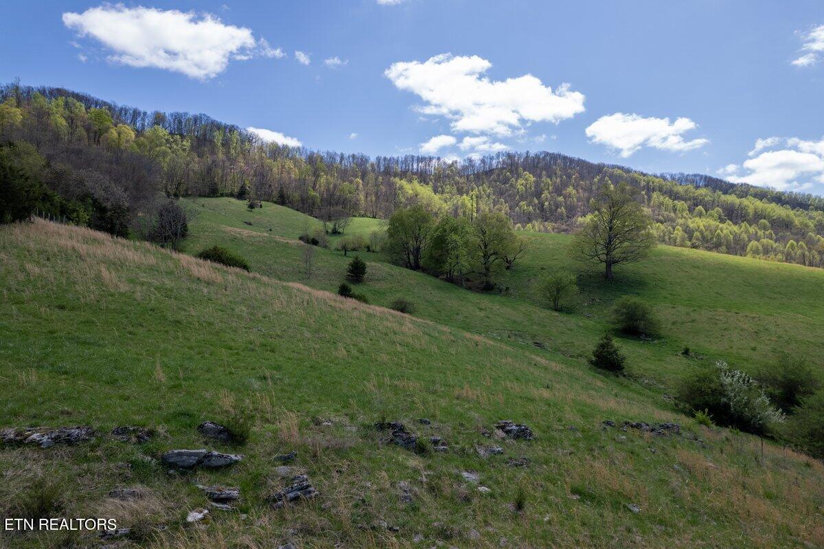 Tbd Tbd Little Sycamore Road Tazewell, TN 37879 - Photo 17 of 33 DJI_0734