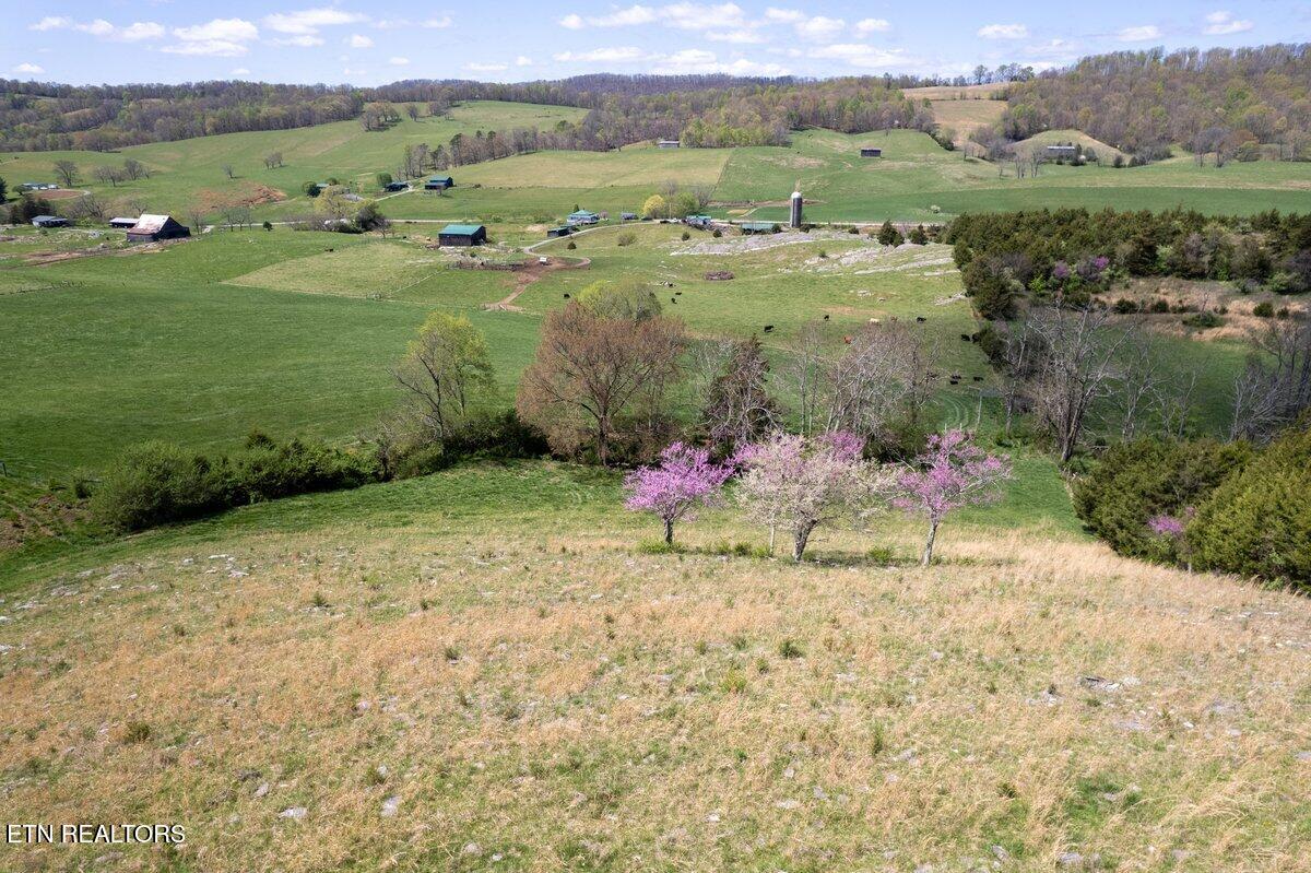 Tbd Tbd Little Sycamore Road Tazewell, TN 37879 - Photo 4 of 33 DJI_0732