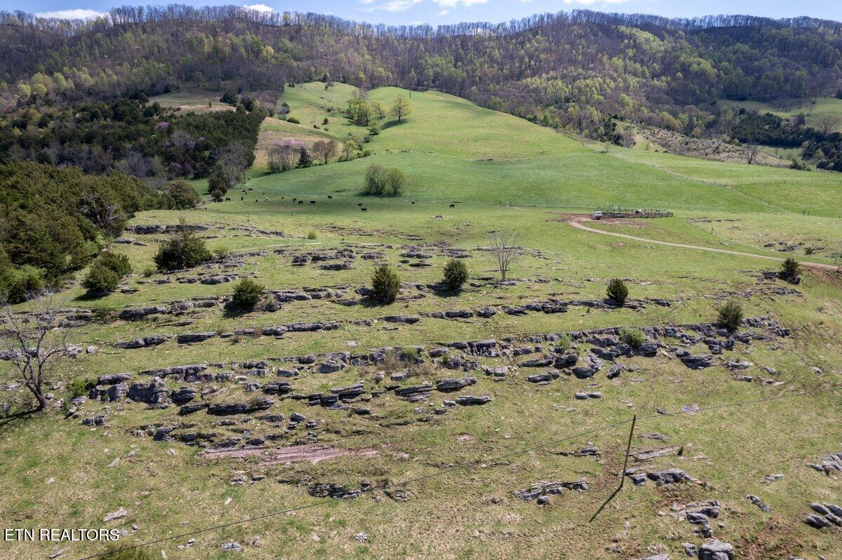 Tbd Tbd Little Sycamore Road Tazewell, TN 37879 - Photo 5 of 33 DJI_0741