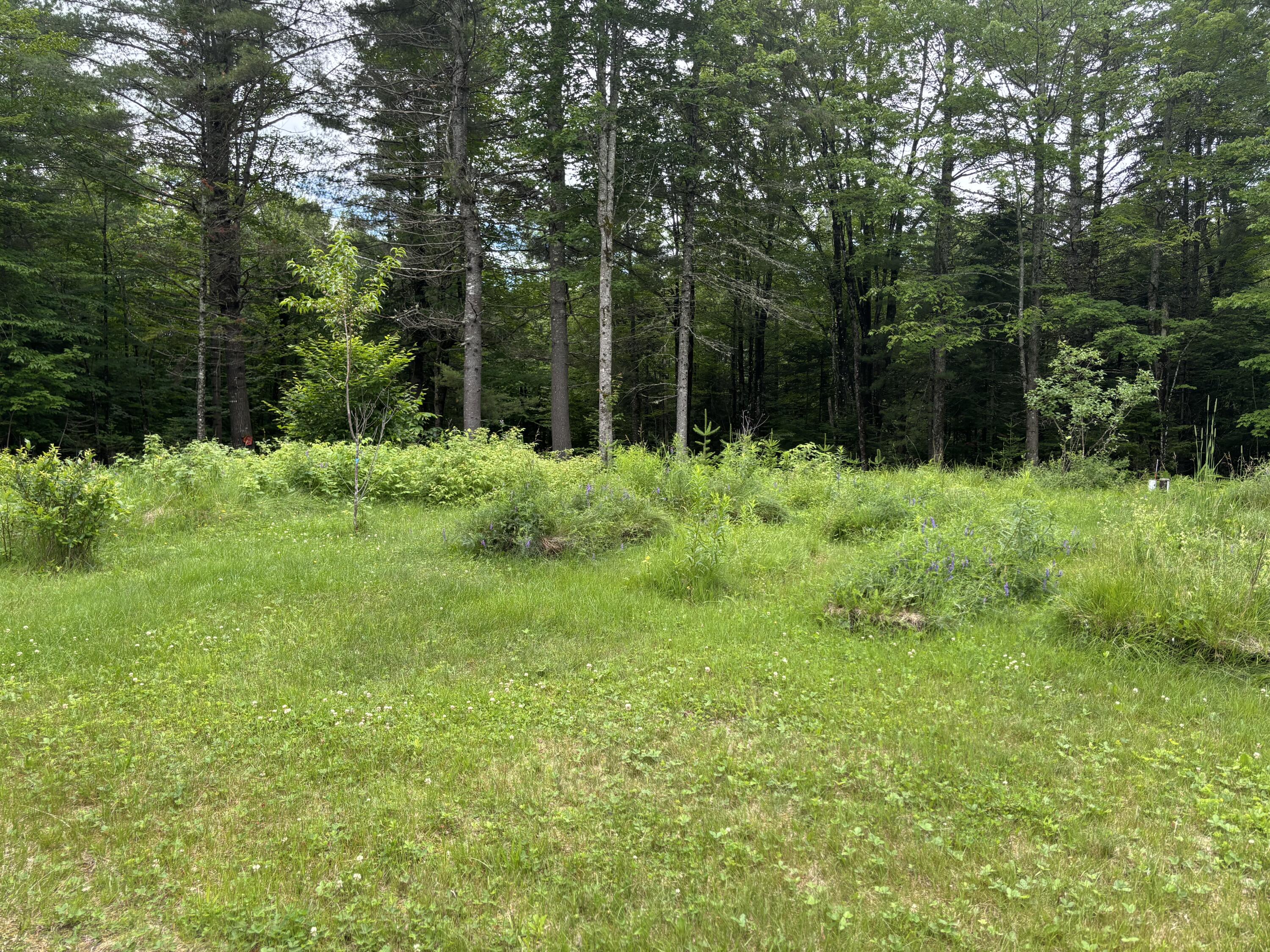 177 Dore Hill Road Athens, ME 04912 - Photo 16 of 51 IMG_8675