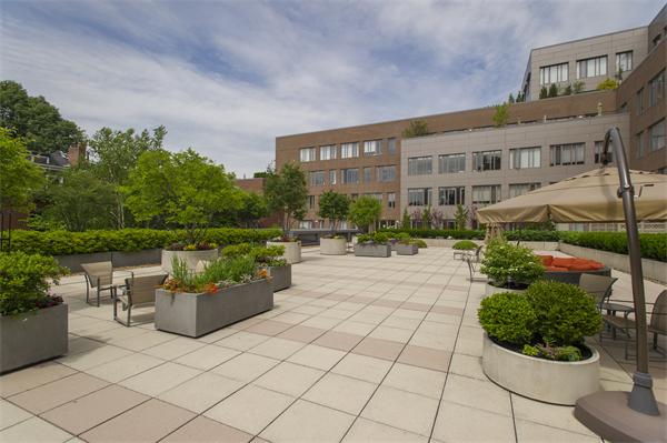 1313 Washington Street, Unit 310 Boston, MA 02118 - Photo 14 of 14 a view of building with outdoor seating and plants