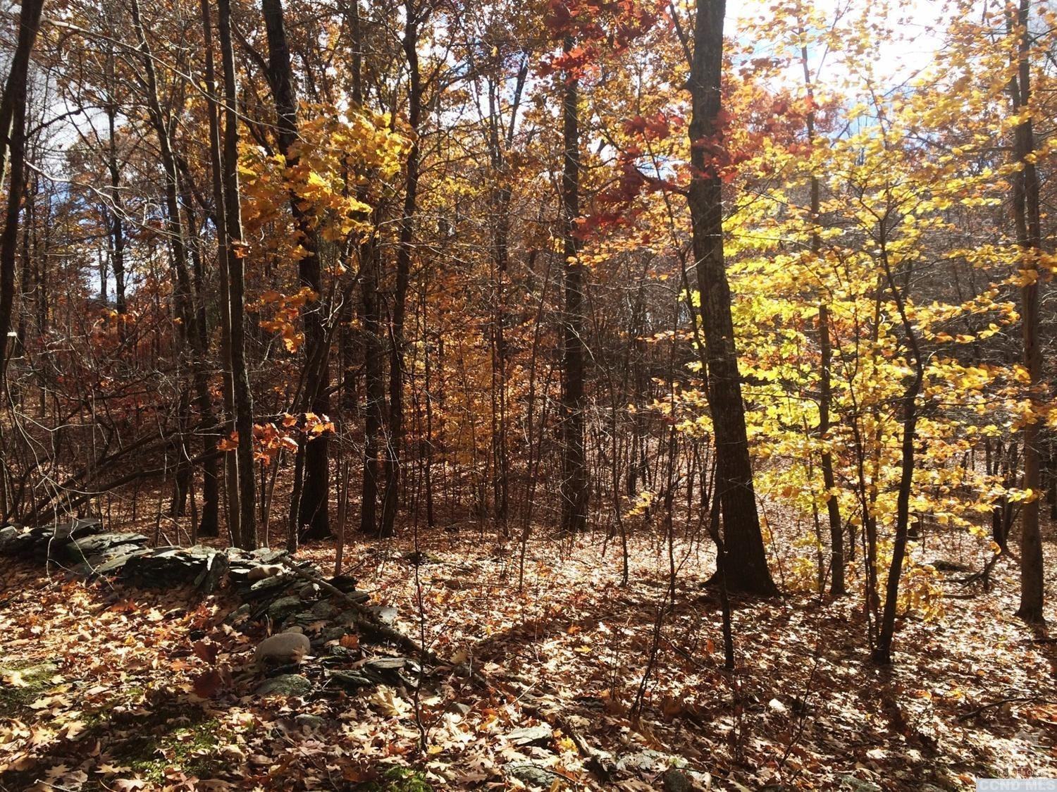 1 Stonegate Off Birch Hil Road Craryville, NY 12521 - Photo 3 of 5 a view of forest