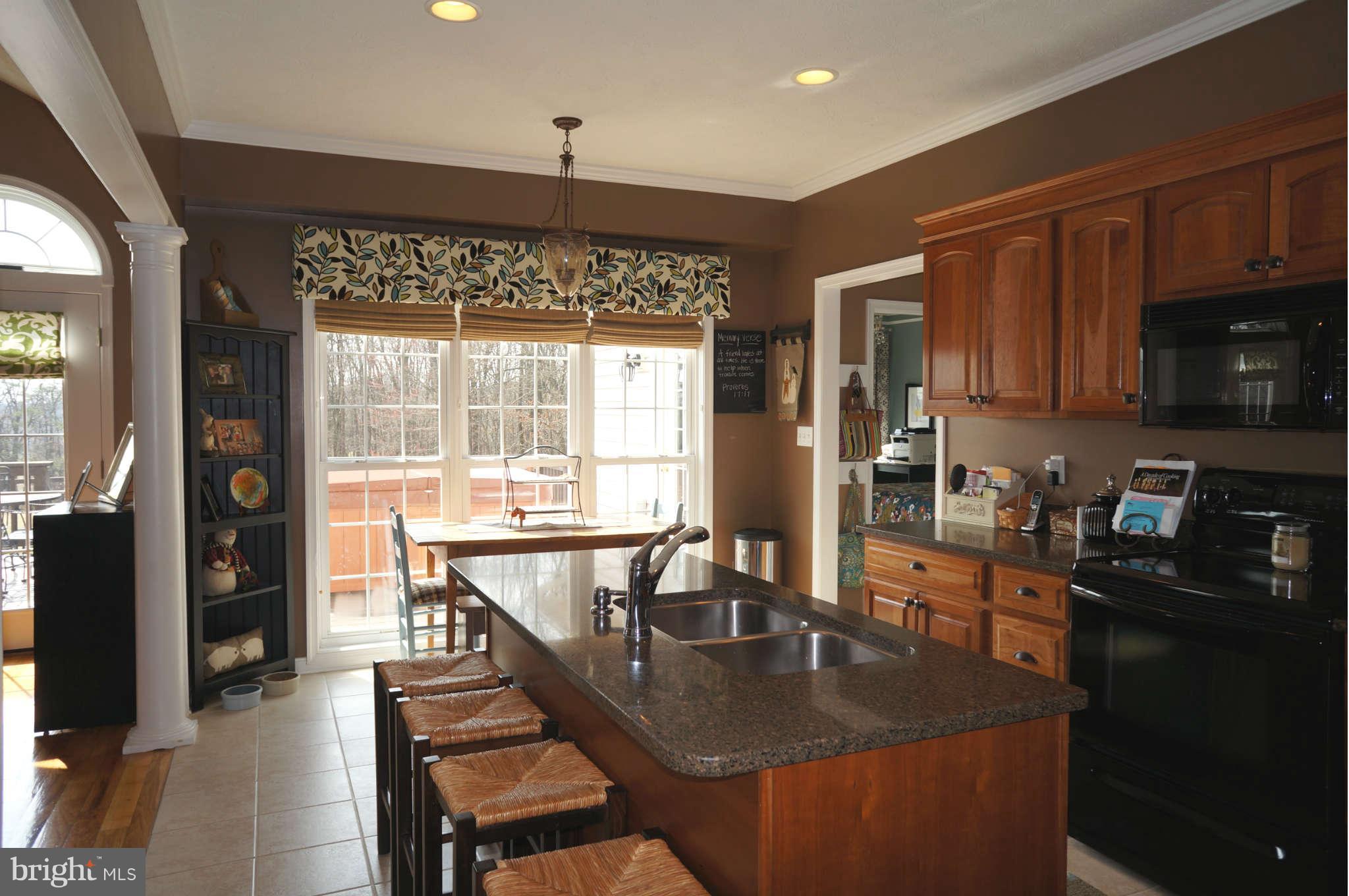 251 Ridgeview Road Gore, VA 22637 - Photo 8 of 21 a kitchen with counter top space a sink and appliances