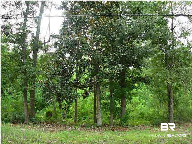 0 Erin Pond Road Seminole, AL 36574 - Photo 1 of 1