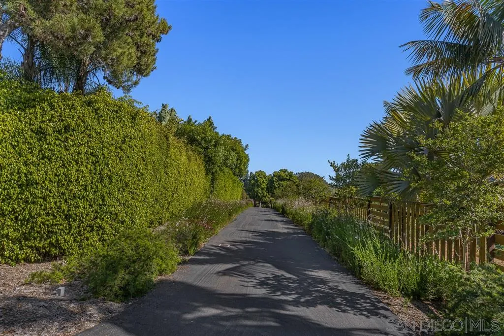 1615 Lugano Lane Del Mar, CA 92014 - Photo 23 of 25 a view of a pathway of a garden