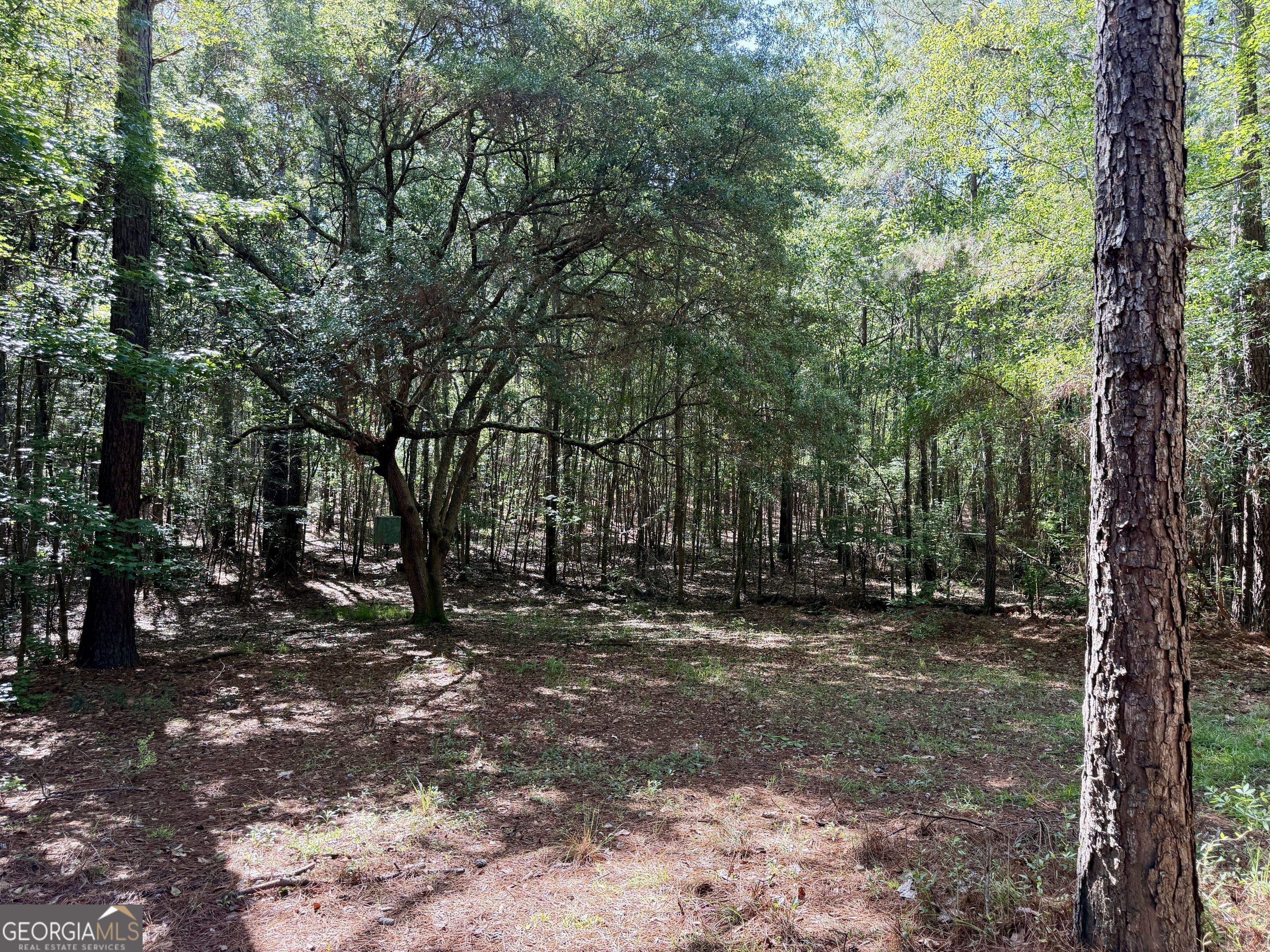 769 Mt Olive Church Road Eastman, GA 31023 - Photo 60 of 68
