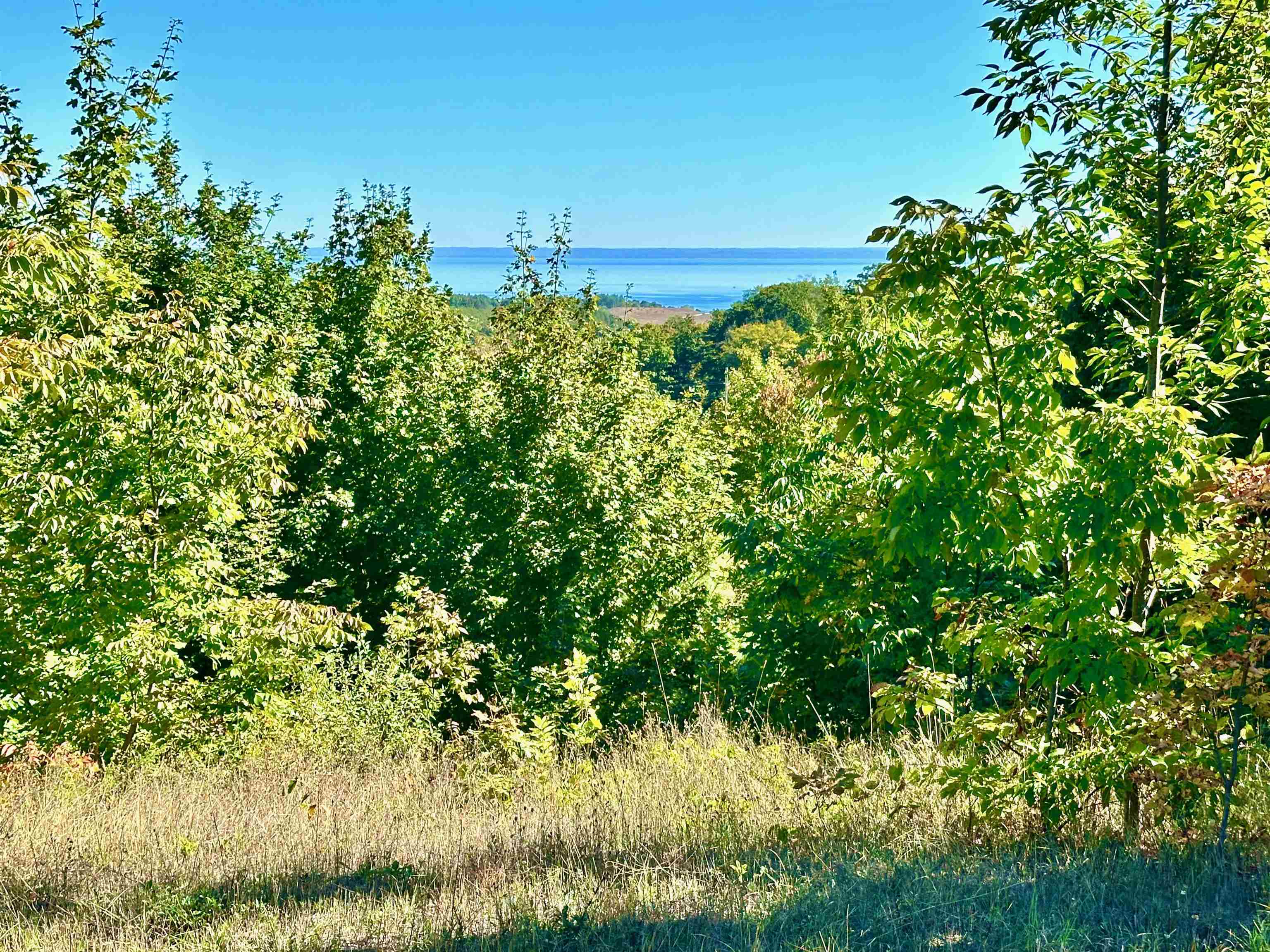 9224 East Duck Lake Road Suttons Bay, MI 49682 - Photo 45 of 63