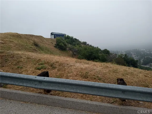 a view of a dry yard with trees