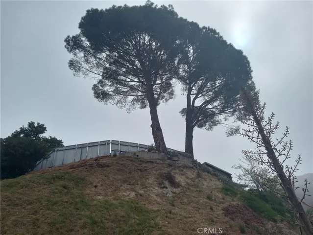 a view of a dry yard with wooden fence