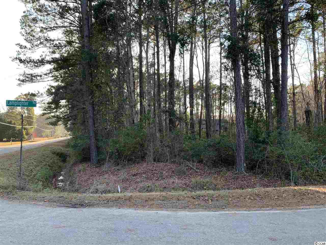 Tbd Shady Branch Road Myrtle Beach, SC 29588 - Photo 1 of 6 Gallery Image 1