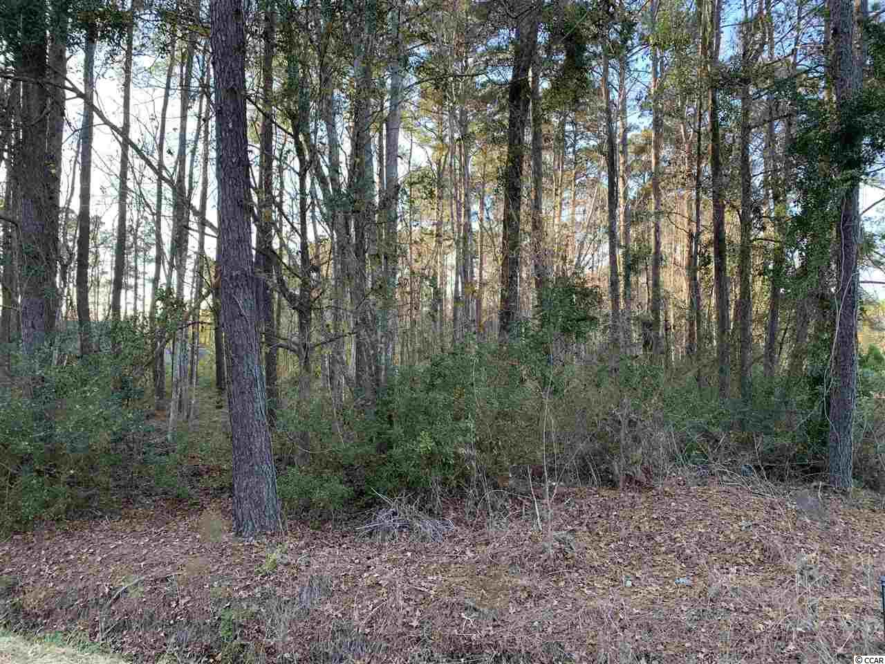 Tbd Shady Branch Road Myrtle Beach, SC 29588 - Photo 2 of 6 Gallery Image 2