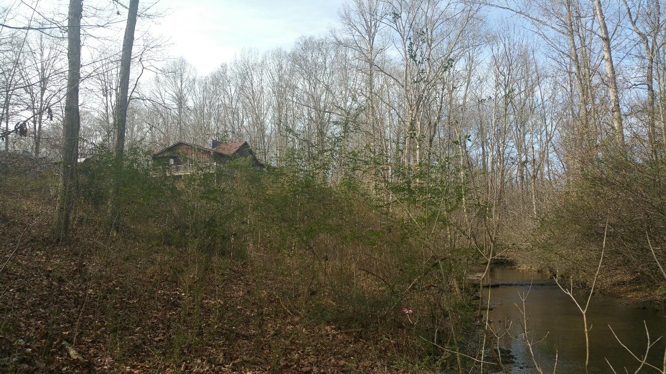 1132 Prosser Road Leoma, TN 38468 - Photo 11 of 30 Gallery Image 11