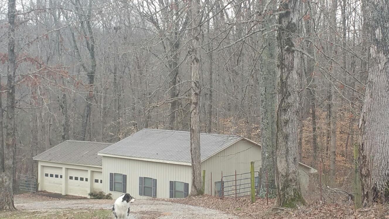 1132 Prosser Road Leoma, TN 38468 - Photo 27 of 30 Gallery Image 27