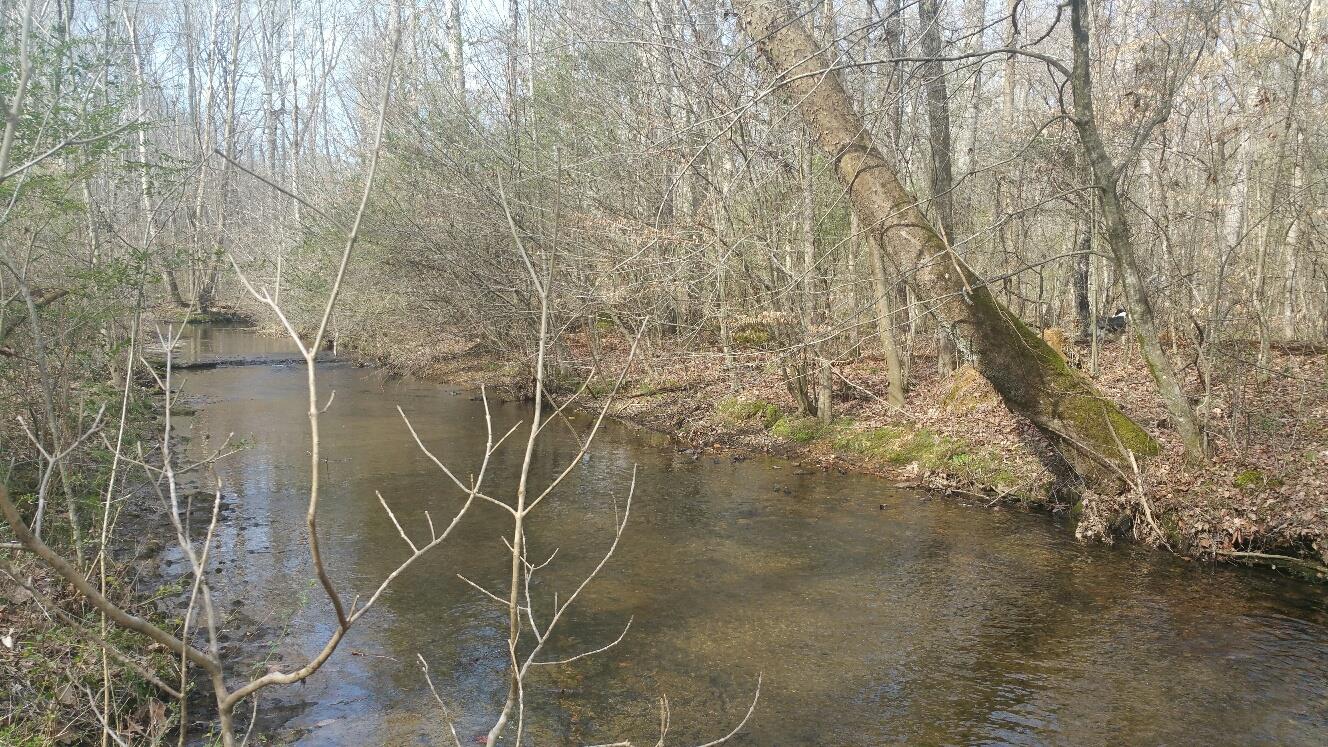 1132 Prosser Road Leoma, TN 38468 - Photo 9 of 30 Gallery Image 9