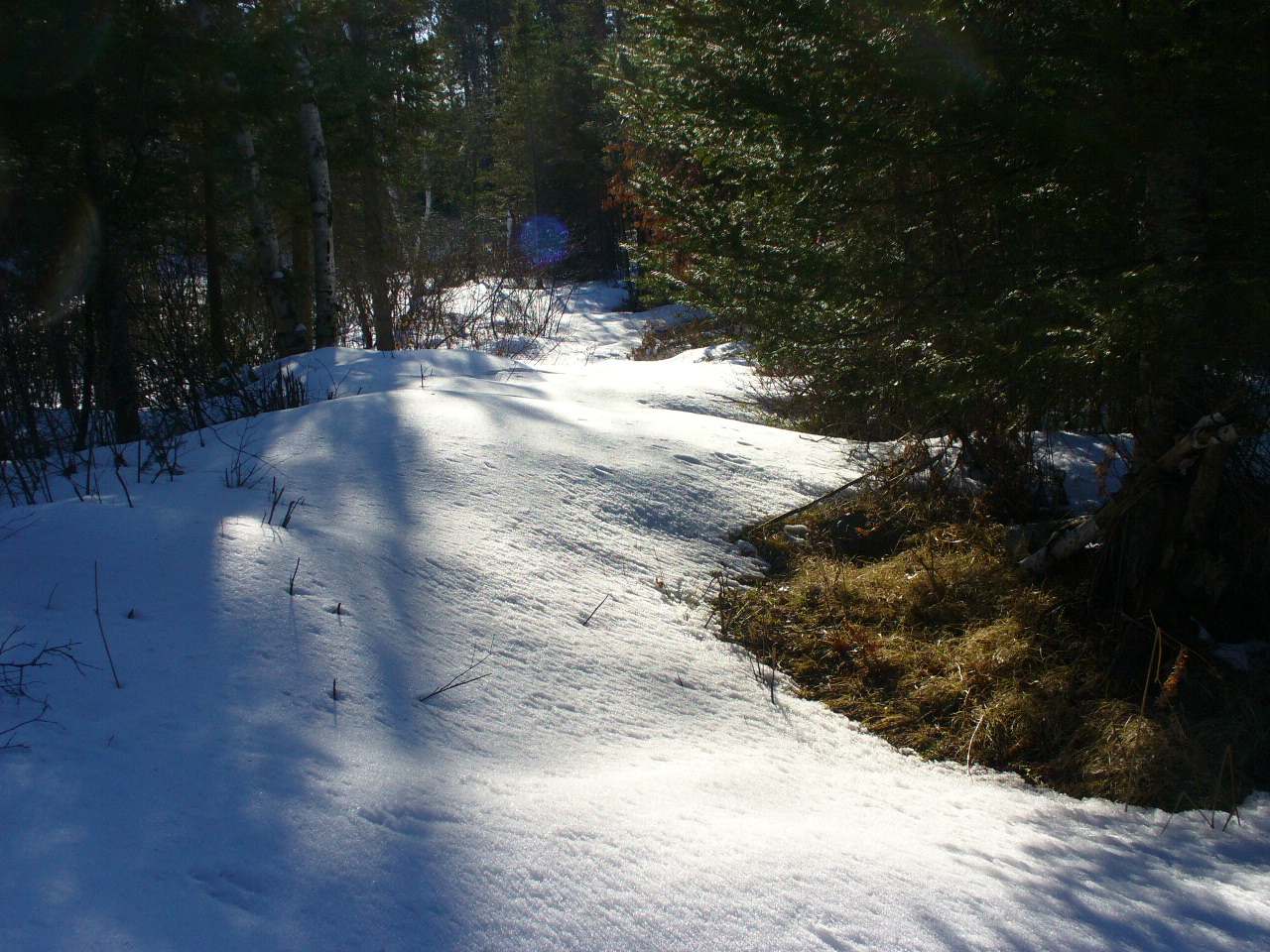 Lot14 Pelican Ranch Road Rhinelander, WI 54501 - Photo 5 of 16 Gallery Image 5