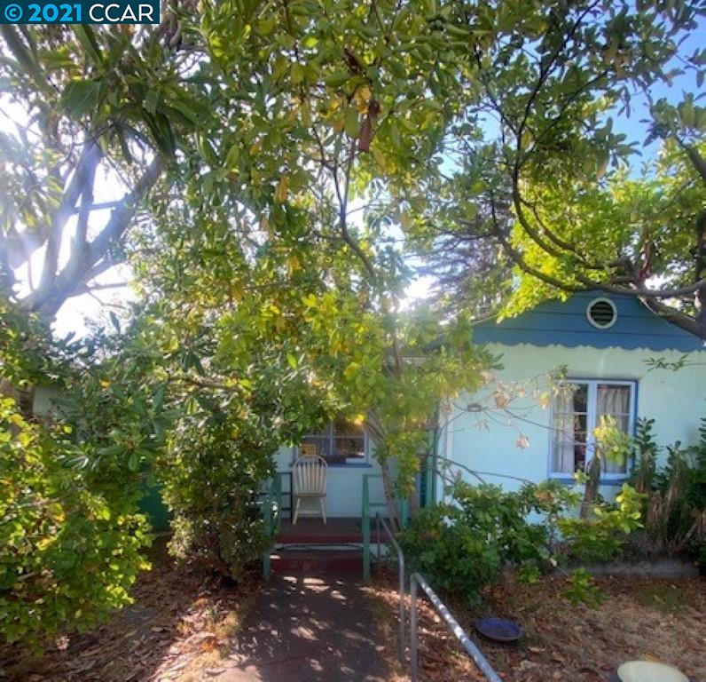 a view of a back yard