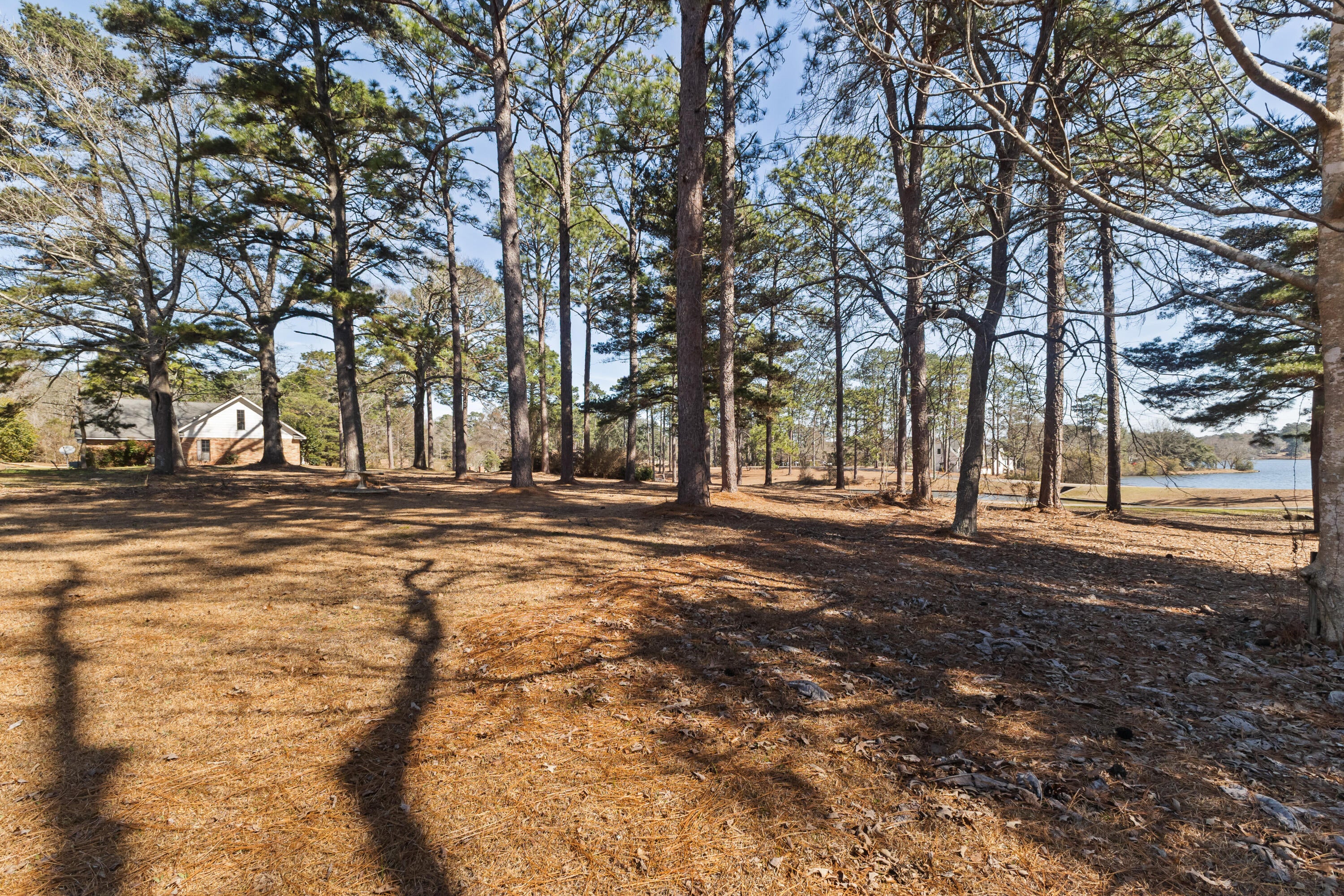 269 West Lake Road Hattiesburg, MS 39402 - Photo 85 of 114 Gallery Image 85