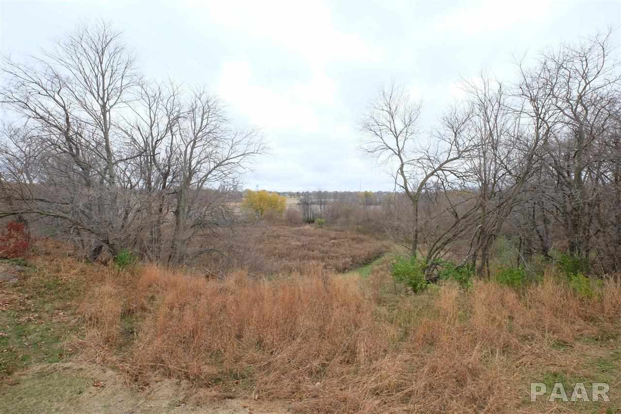 6502 North Wiley Road Elmwood, IL 61529 - Photo 35 of 36 Gallery Image 35