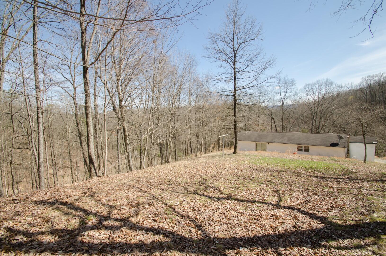214 Reesor Hollow Road Church Hill, TN 37642 - Photo 19 of 26 Reesor Hollow-18