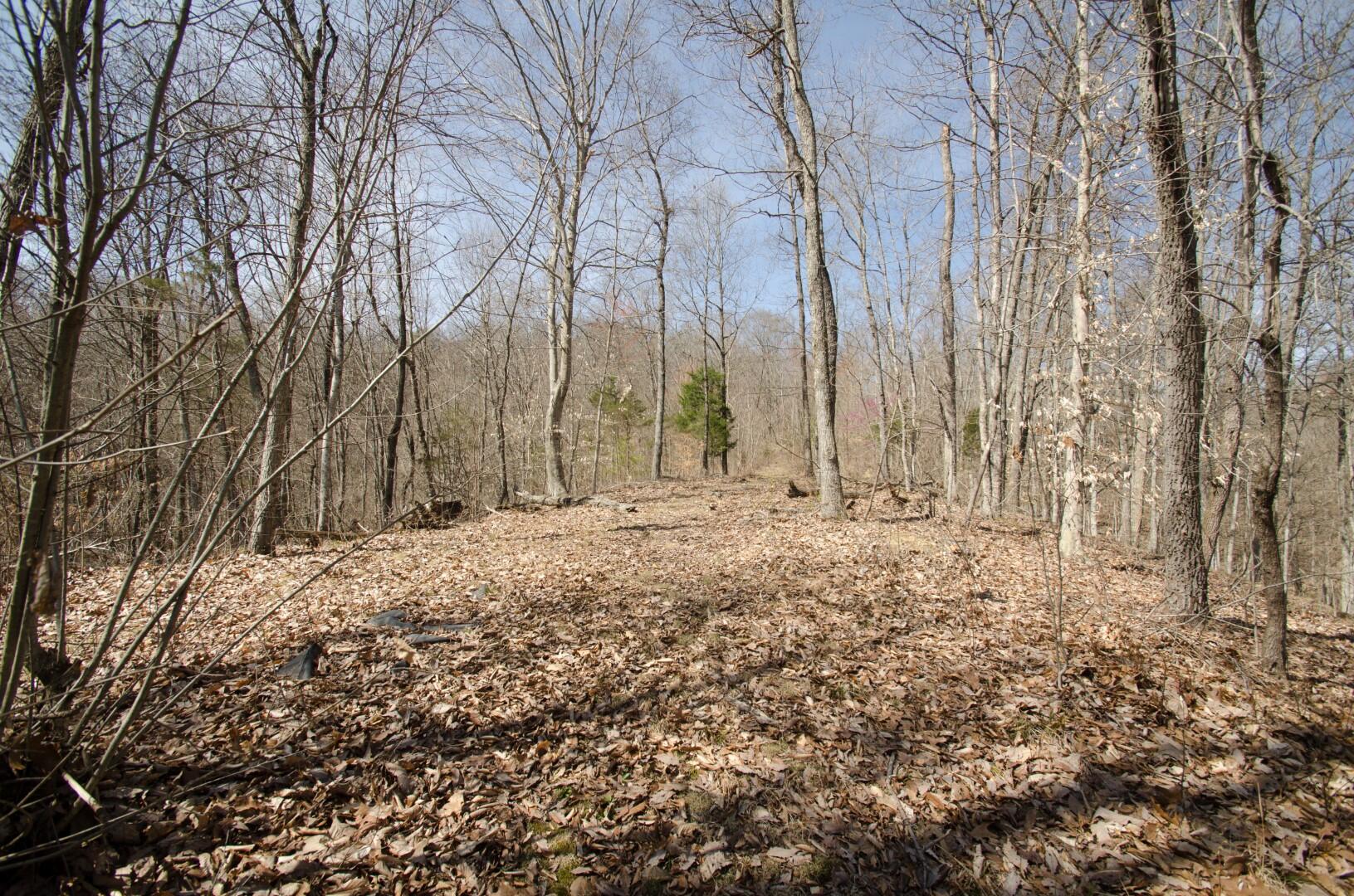 214 Reesor Hollow Road Church Hill, TN 37642 - Photo 20 of 26 Reesor Hollow-19