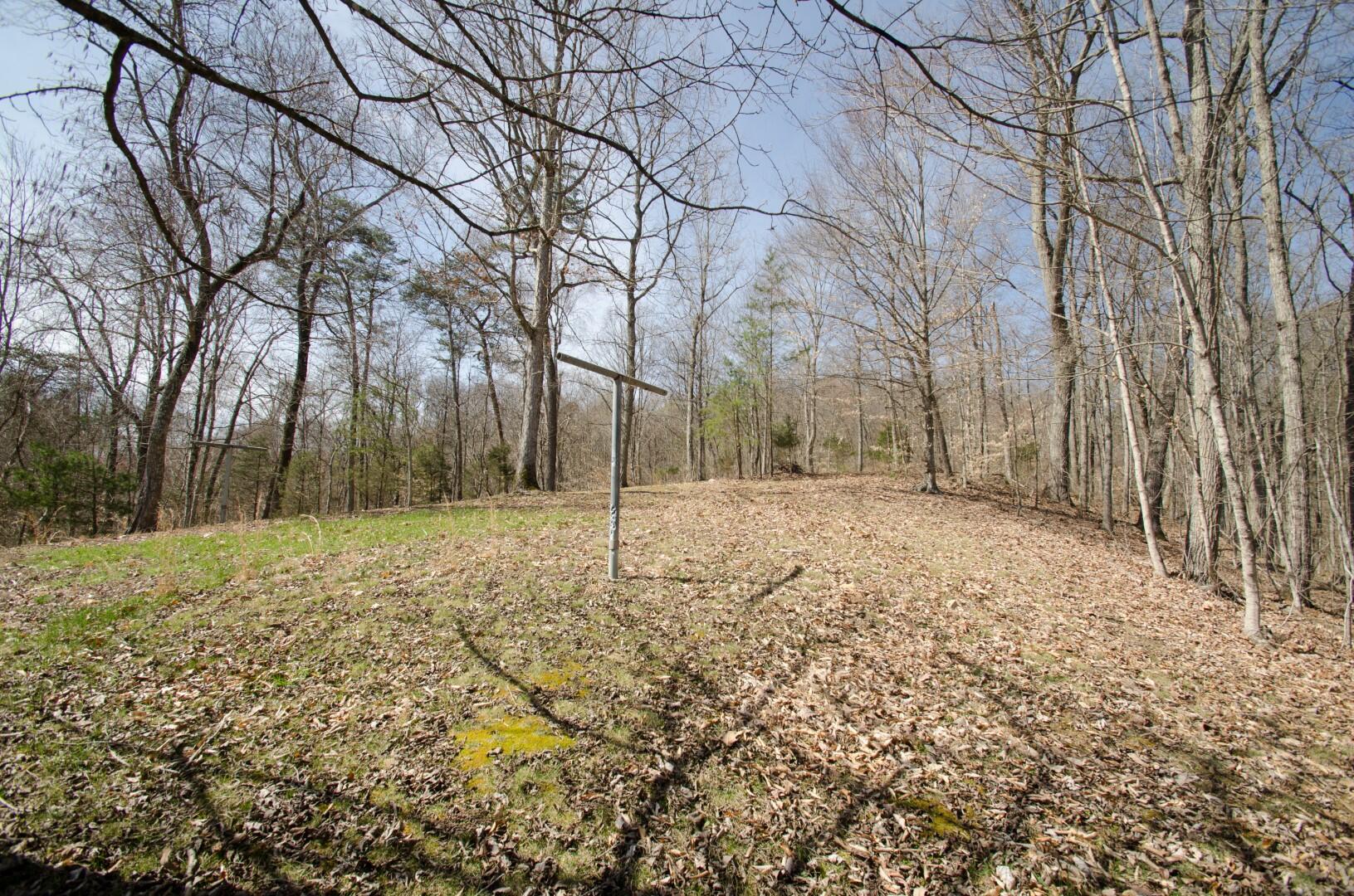 214 Reesor Hollow Road Church Hill, TN 37642 - Photo 22 of 26 Reesor Hollow-21