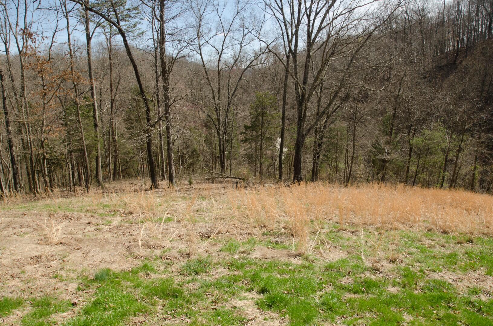 214 Reesor Hollow Road Church Hill, TN 37642 - Photo 26 of 26 Reesor Hollow-26