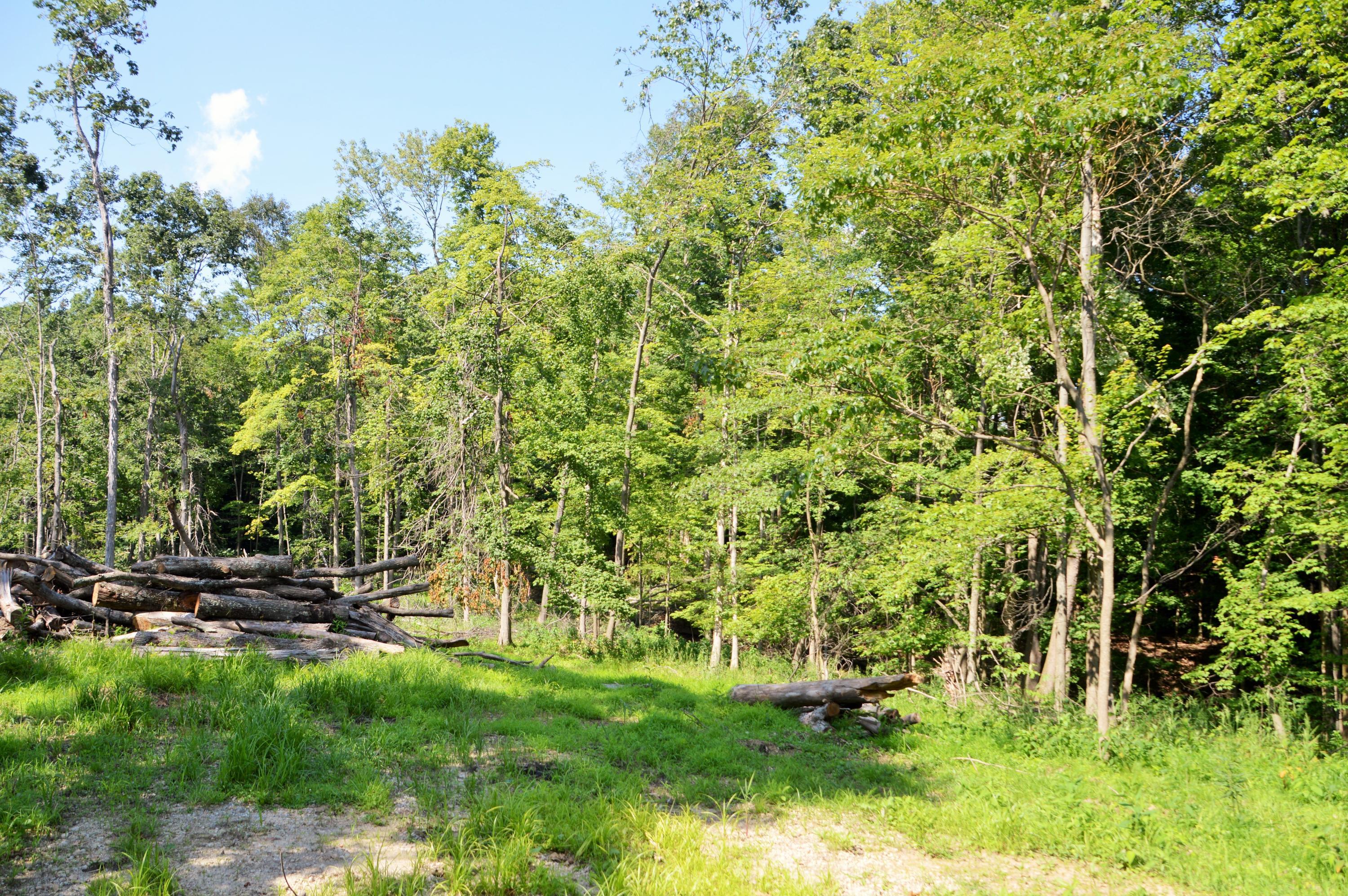 35600 Clay Bank Road Logan, OH 43138 - Photo 43 of 59