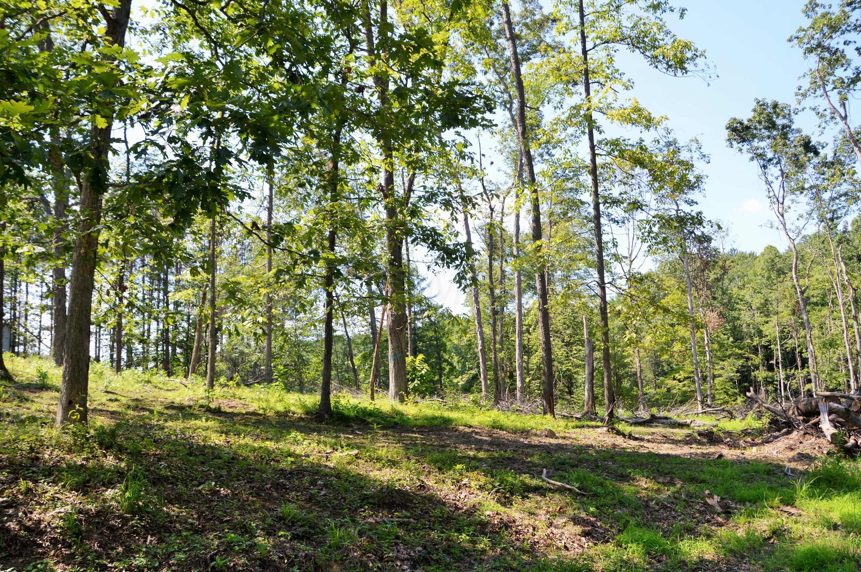 35600 Clay Bank Road Logan, OH 43138 - Photo 44 of 59
