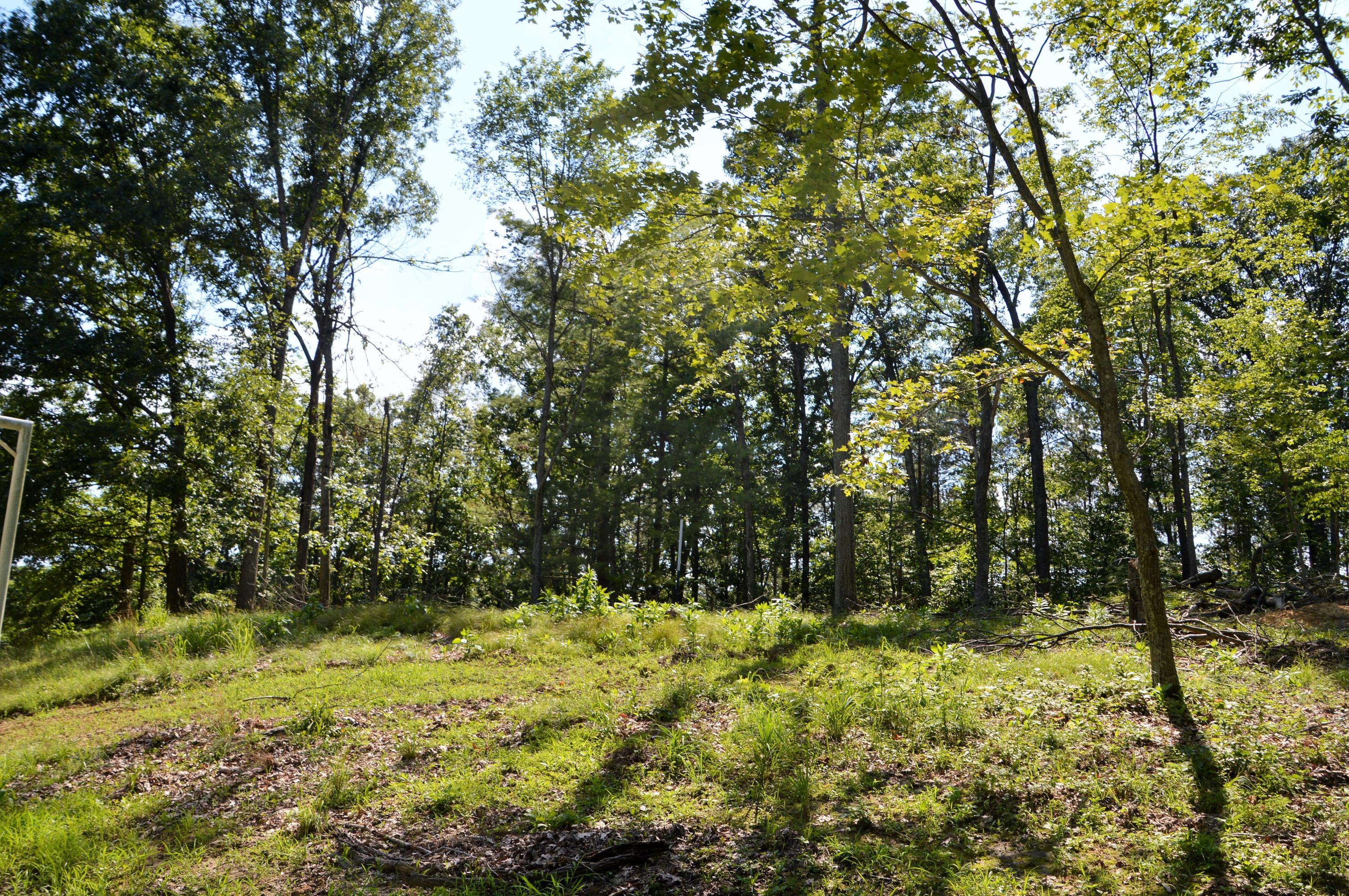 35600 Clay Bank Road Logan, OH 43138 - Photo 45 of 59