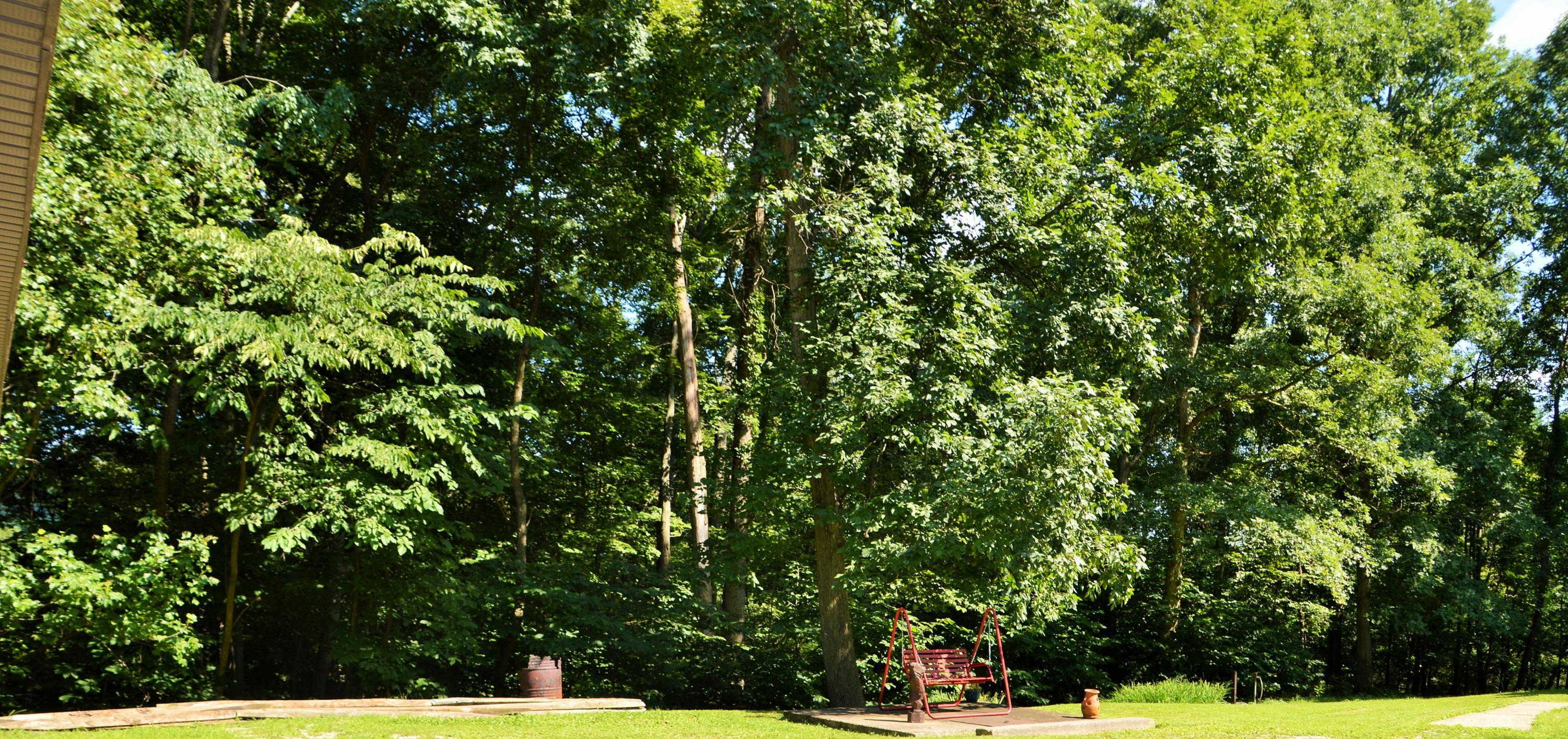 35600 Clay Bank Road Logan, OH 43138 - Photo 46 of 59
