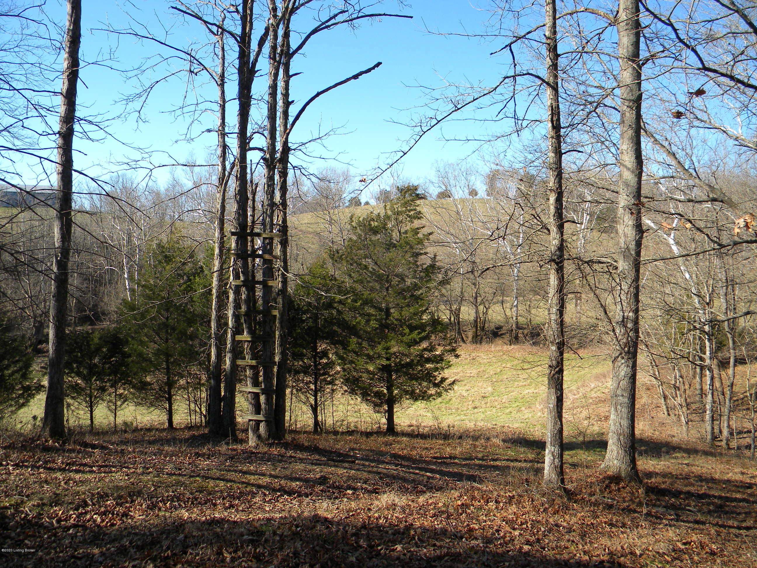 9484 Mt Eden Road Waddy, KY 40076 - Photo 50 of 63 DSCN4387