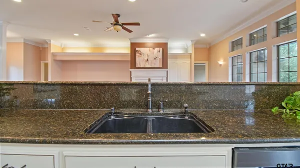 a kitchen with a sink and a potted plant