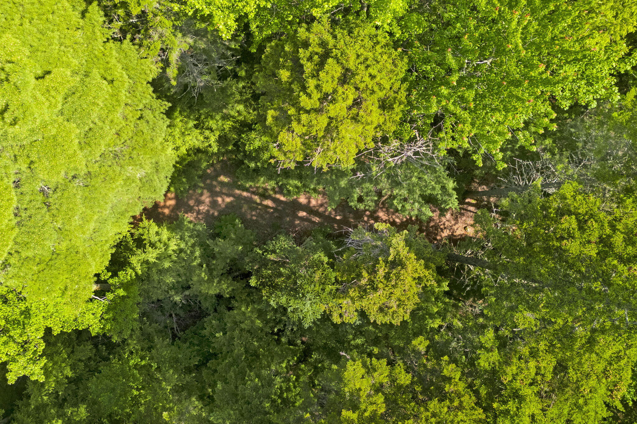 Lot 131 Lot Road Cherryfield, ME 04622 - Photo 52 of 63 52-web-or-mls-lot-131-upper-lead-mountai