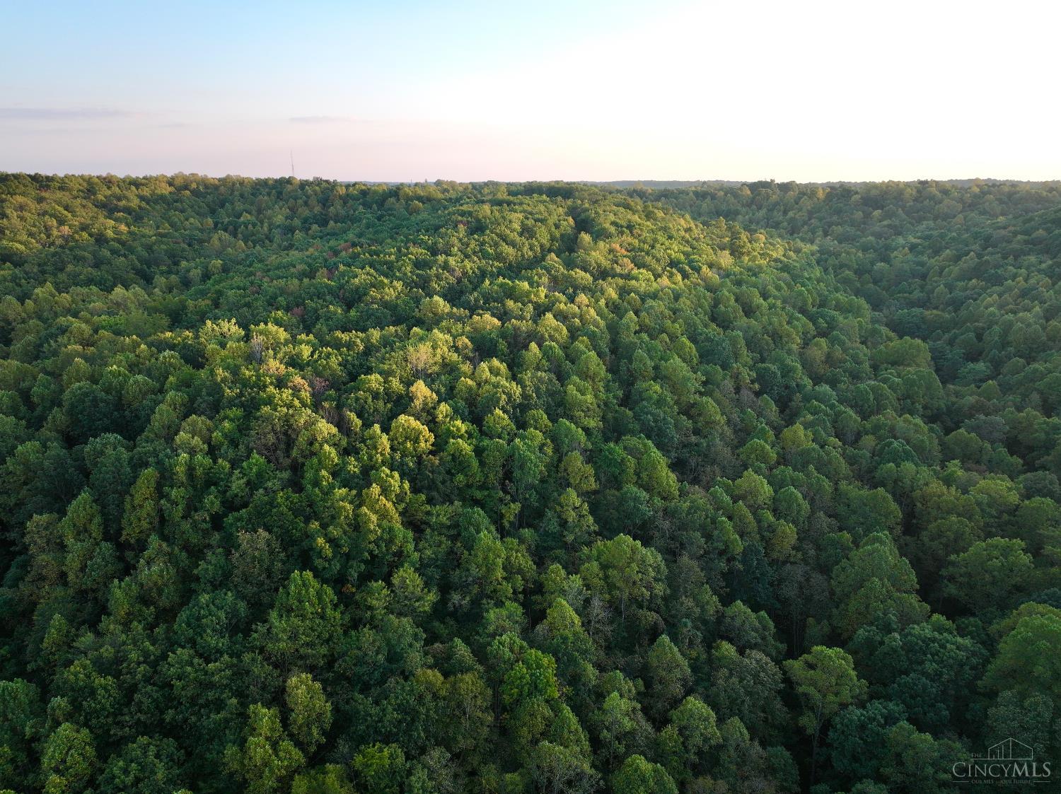 0 South Chenoweth Fork Road Piketon, OH 45661 - Photo 46 of 95