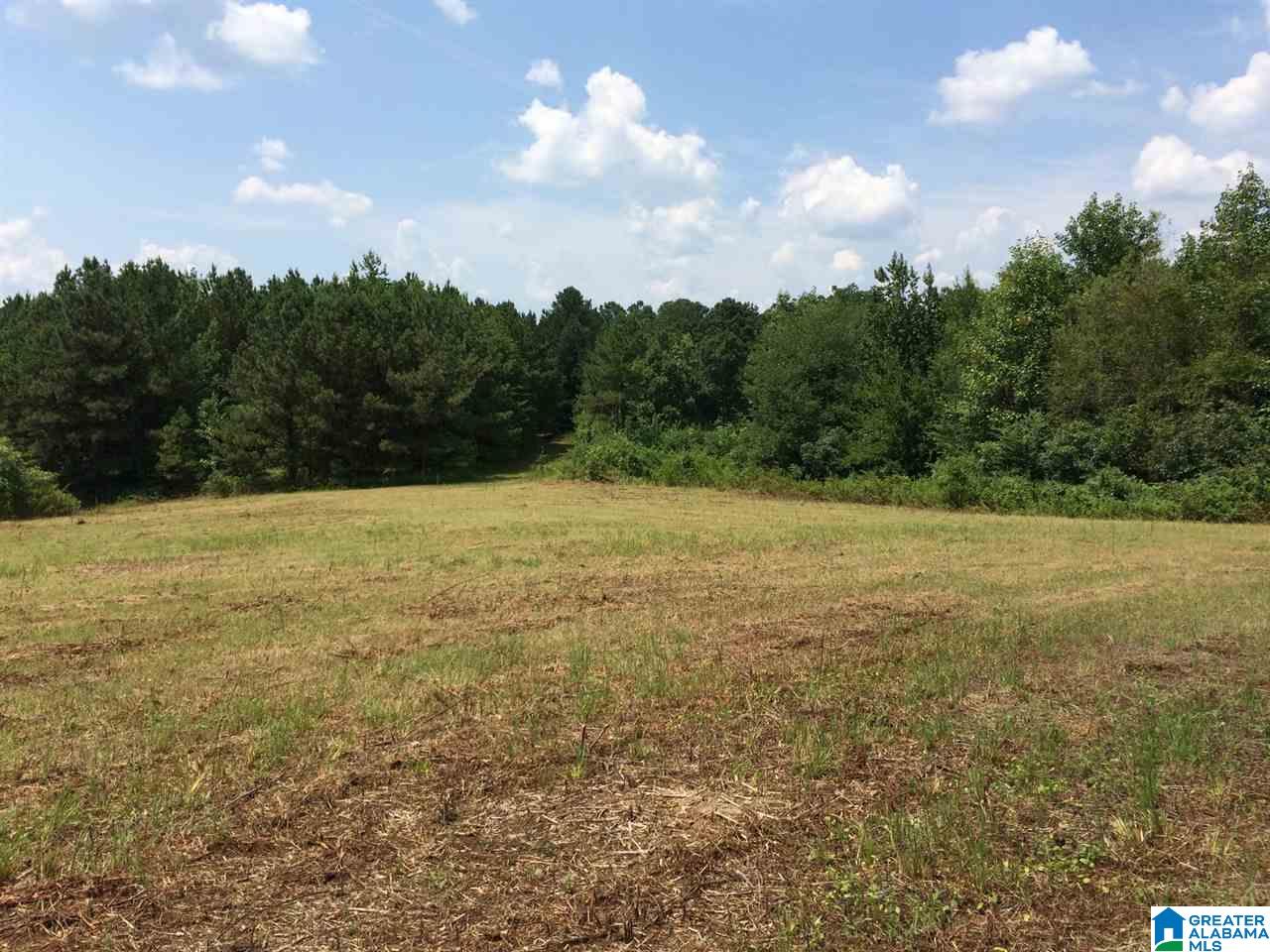 Spunky Hollow Road, Unit 18 7 Oneonta, AL 35121 - Photo 15 of 46