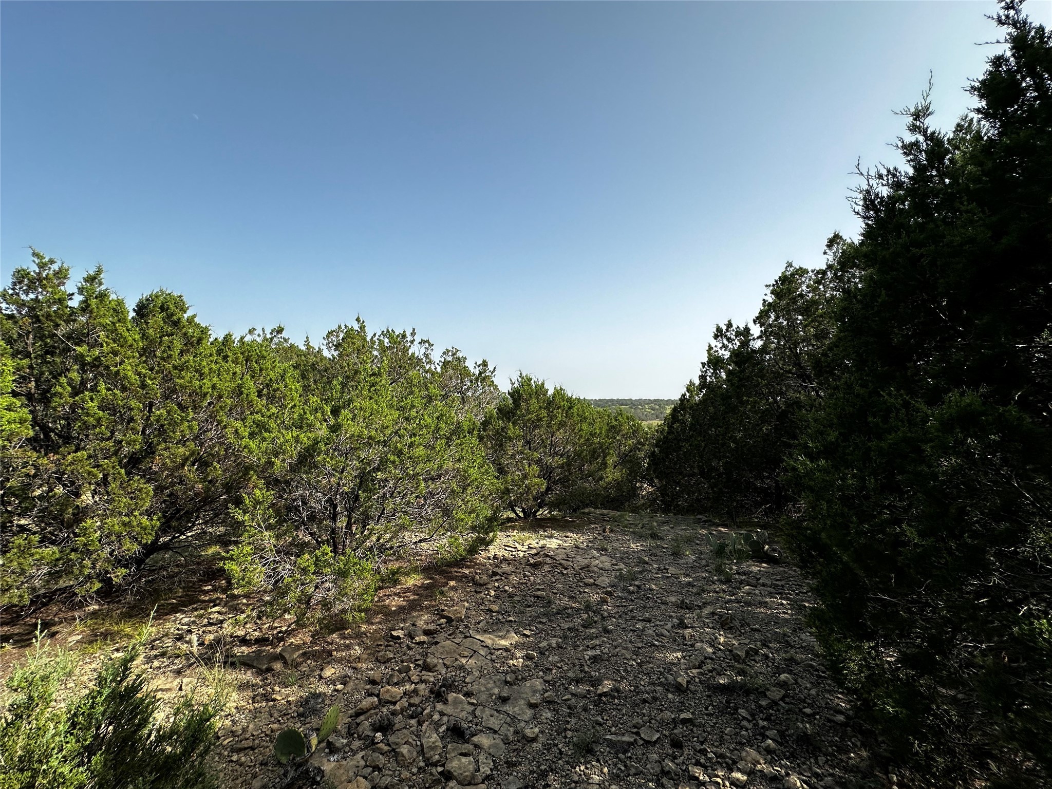 0 South Bosley Road Santo, TX 76472 - Photo 11 of 22