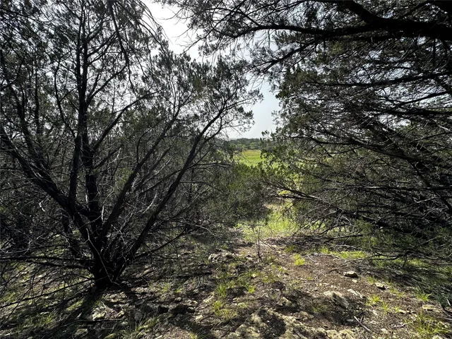 $275,000 | 0 South Bosley Road, Santo, TX 76472