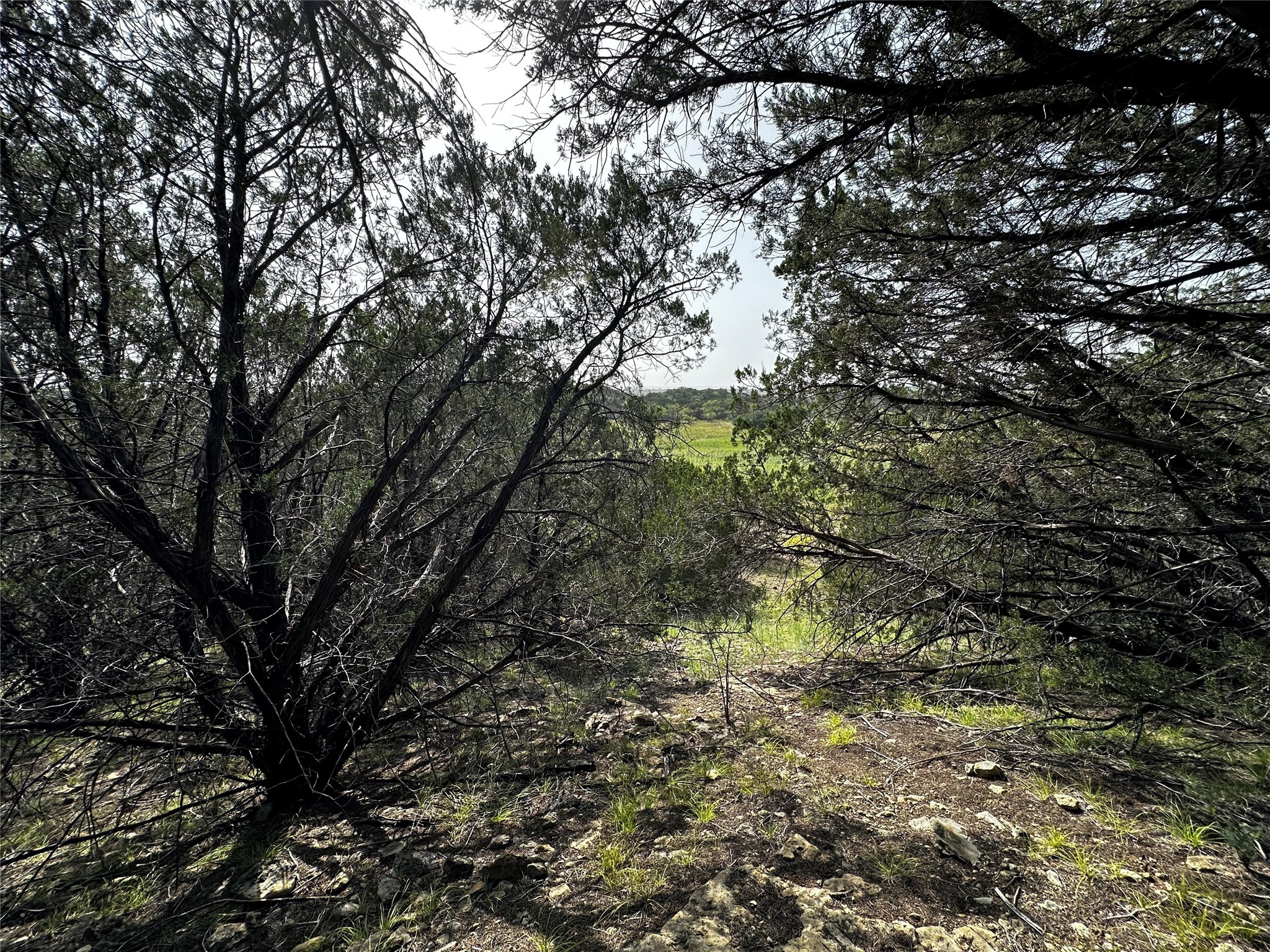 0 South Bosley Road Santo, TX 76472 - Photo 12 of 22