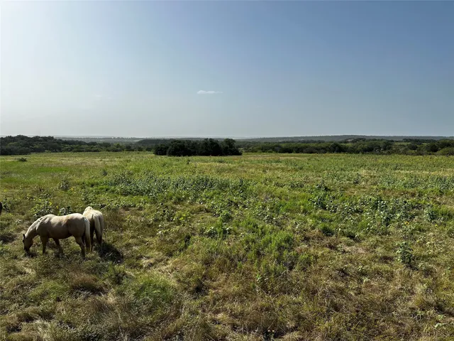 $275,000 | 0 South Bosley Road, Santo, TX 76472