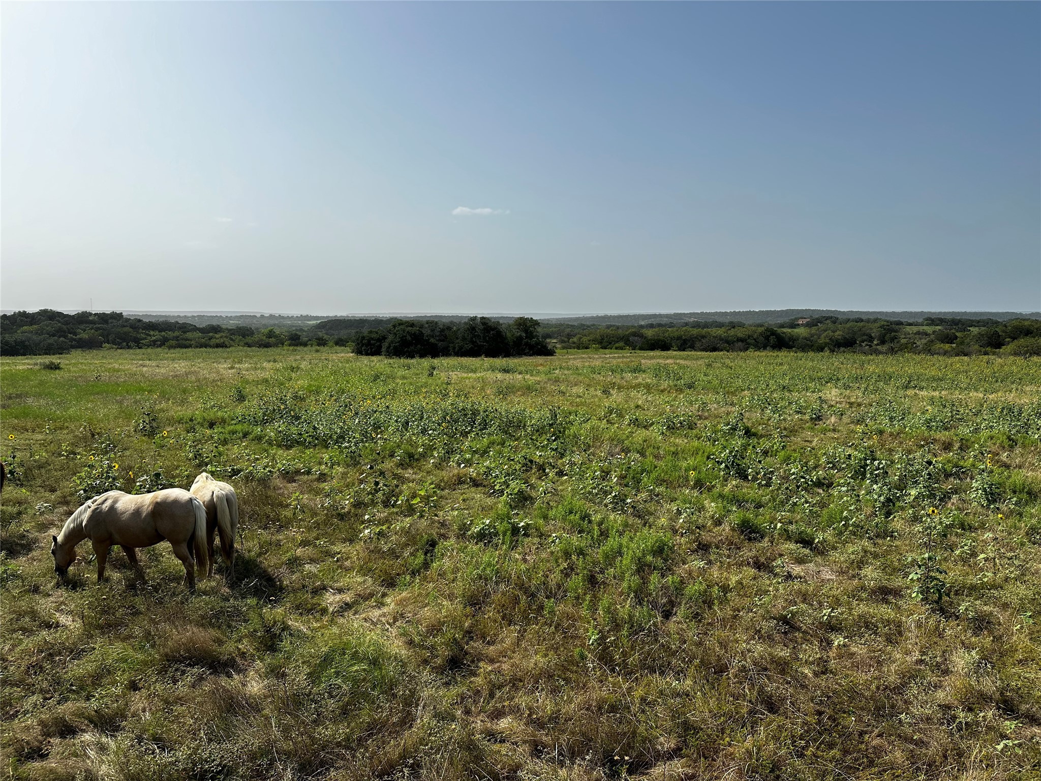 0 South Bosley Road Santo, TX 76472 - Photo 17 of 22