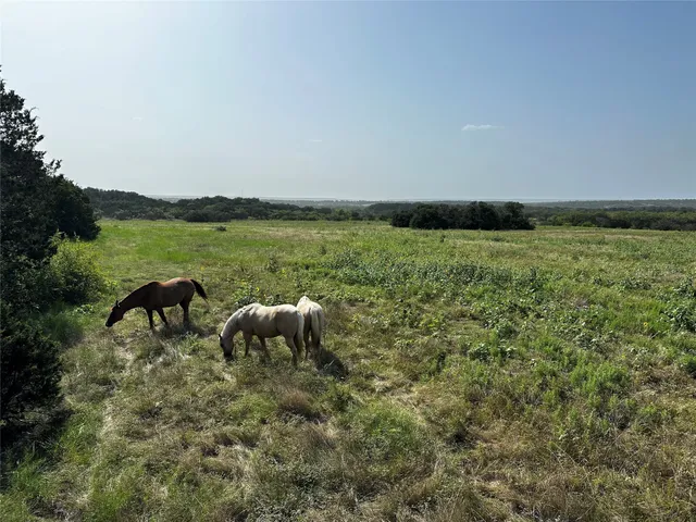 $275,000 | 0 South Bosley Road, Santo, TX 76472