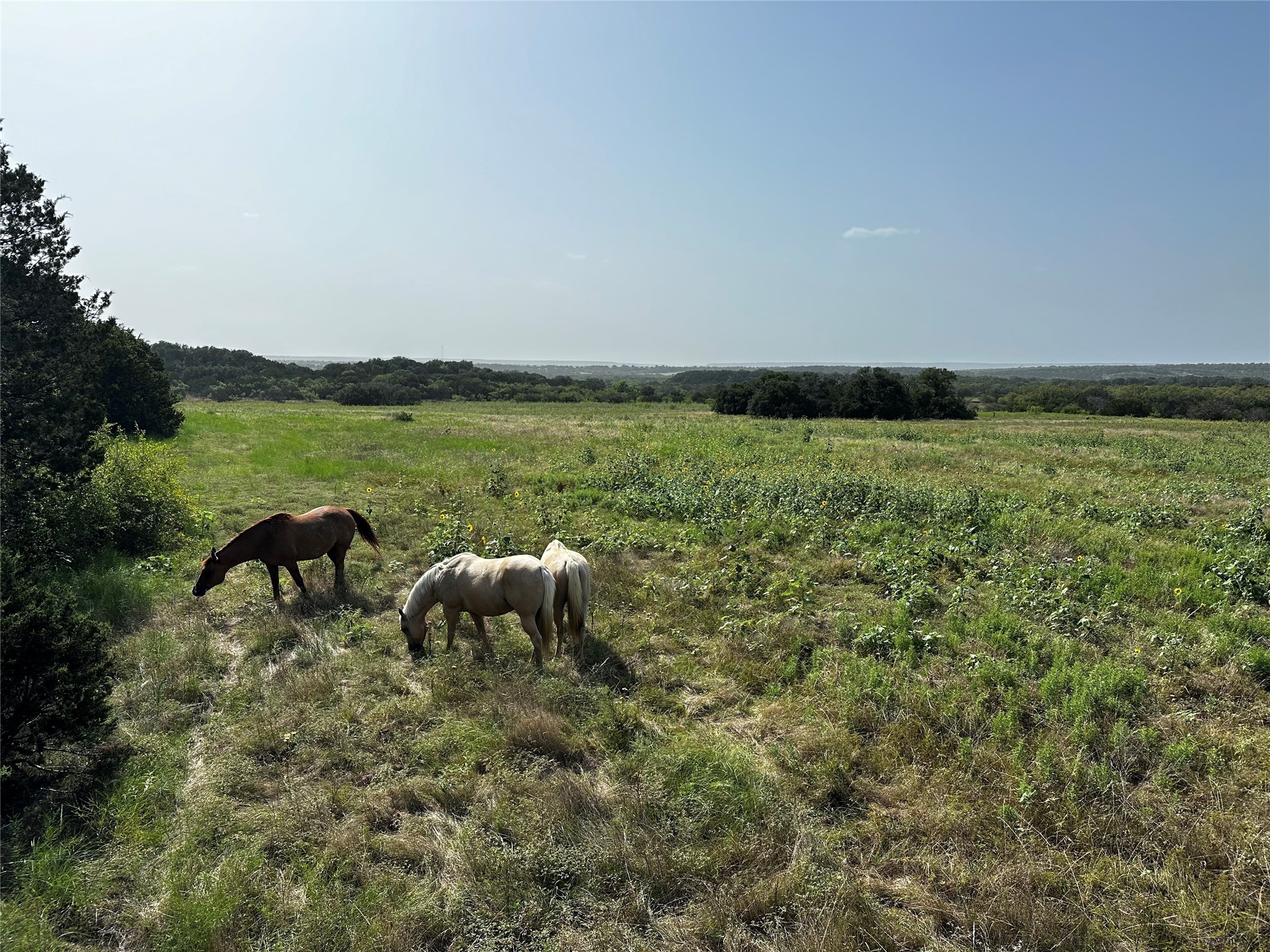 0 South Bosley Road Santo, TX 76472 - Photo 18 of 22