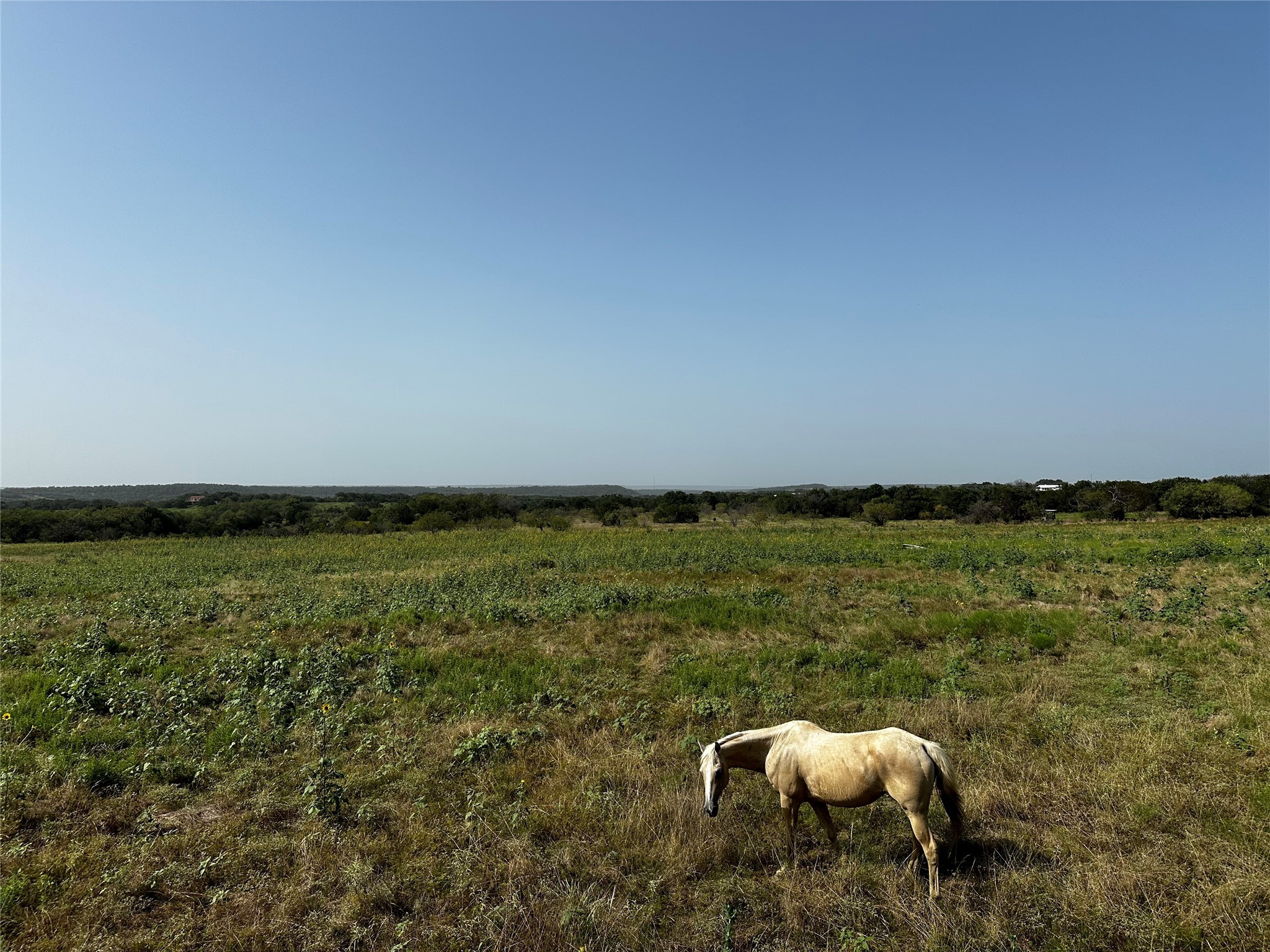 0 South Bosley Road Santo, TX 76472 - Photo 20 of 22