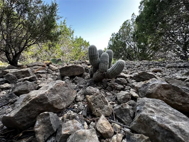 $275,000 | 0 South Bosley Road, Santo, TX 76472