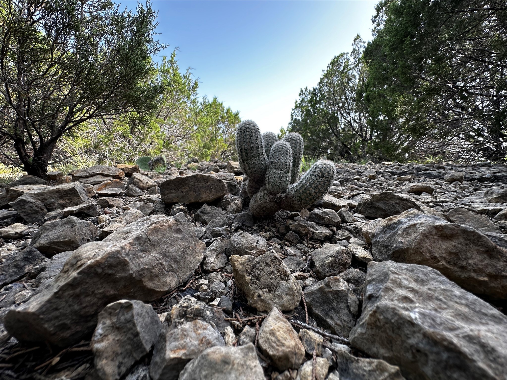 0 South Bosley Road Santo, TX 76472 - Photo 2 of 22