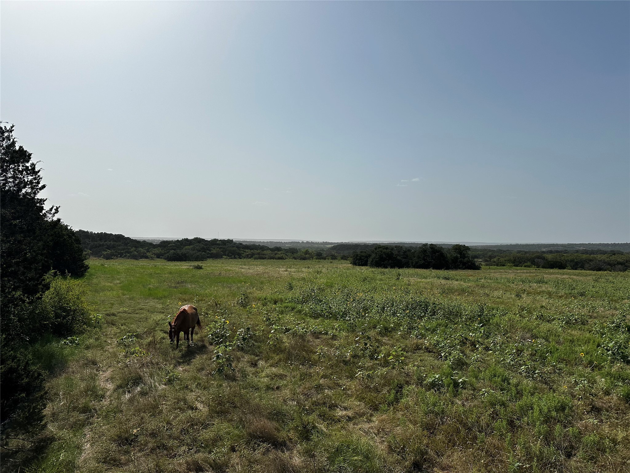 0 South Bosley Road Santo, TX 76472 - Photo 22 of 22