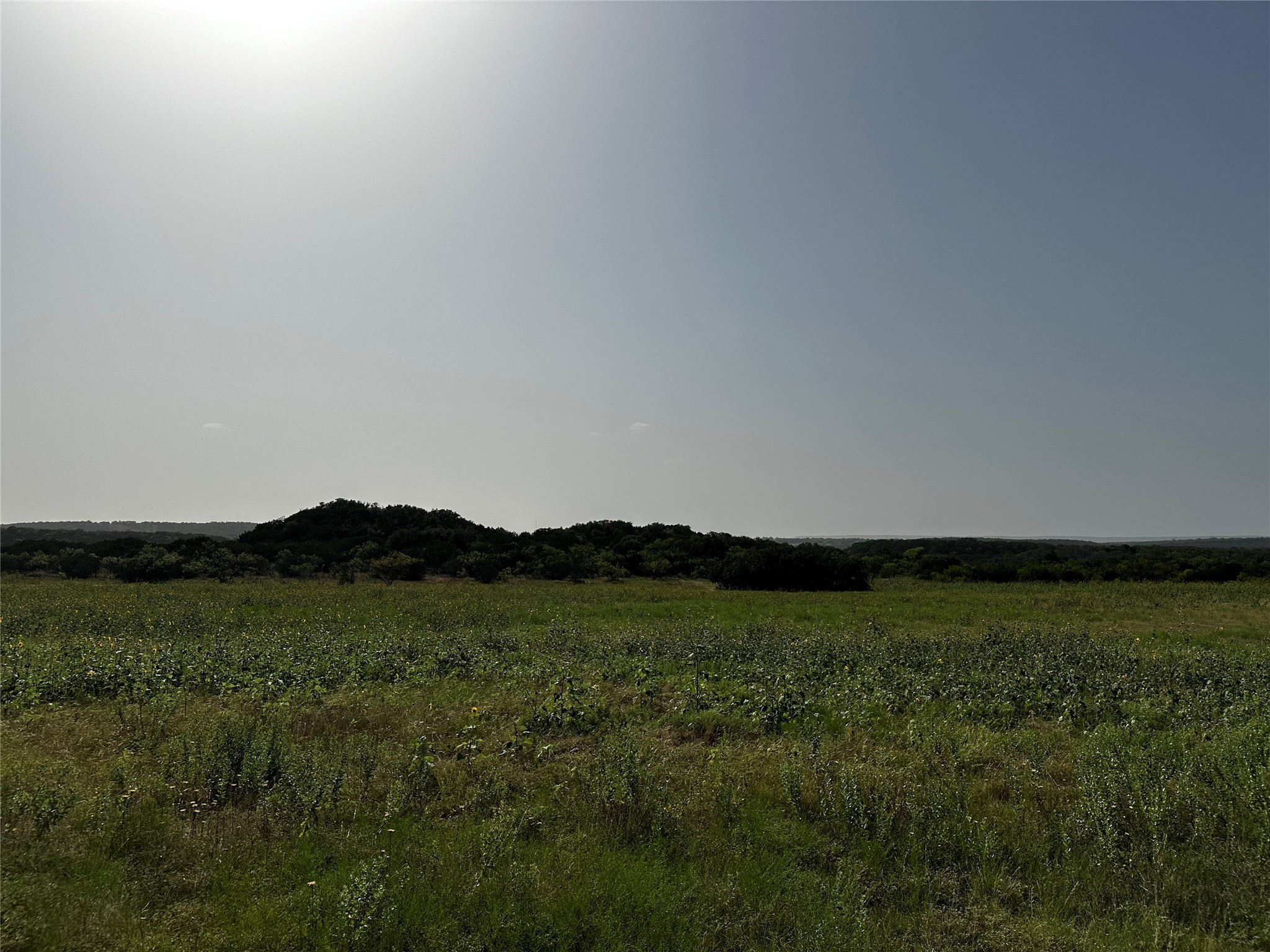 0 South Bosley Road Santo, TX 76472 - Photo 6 of 22